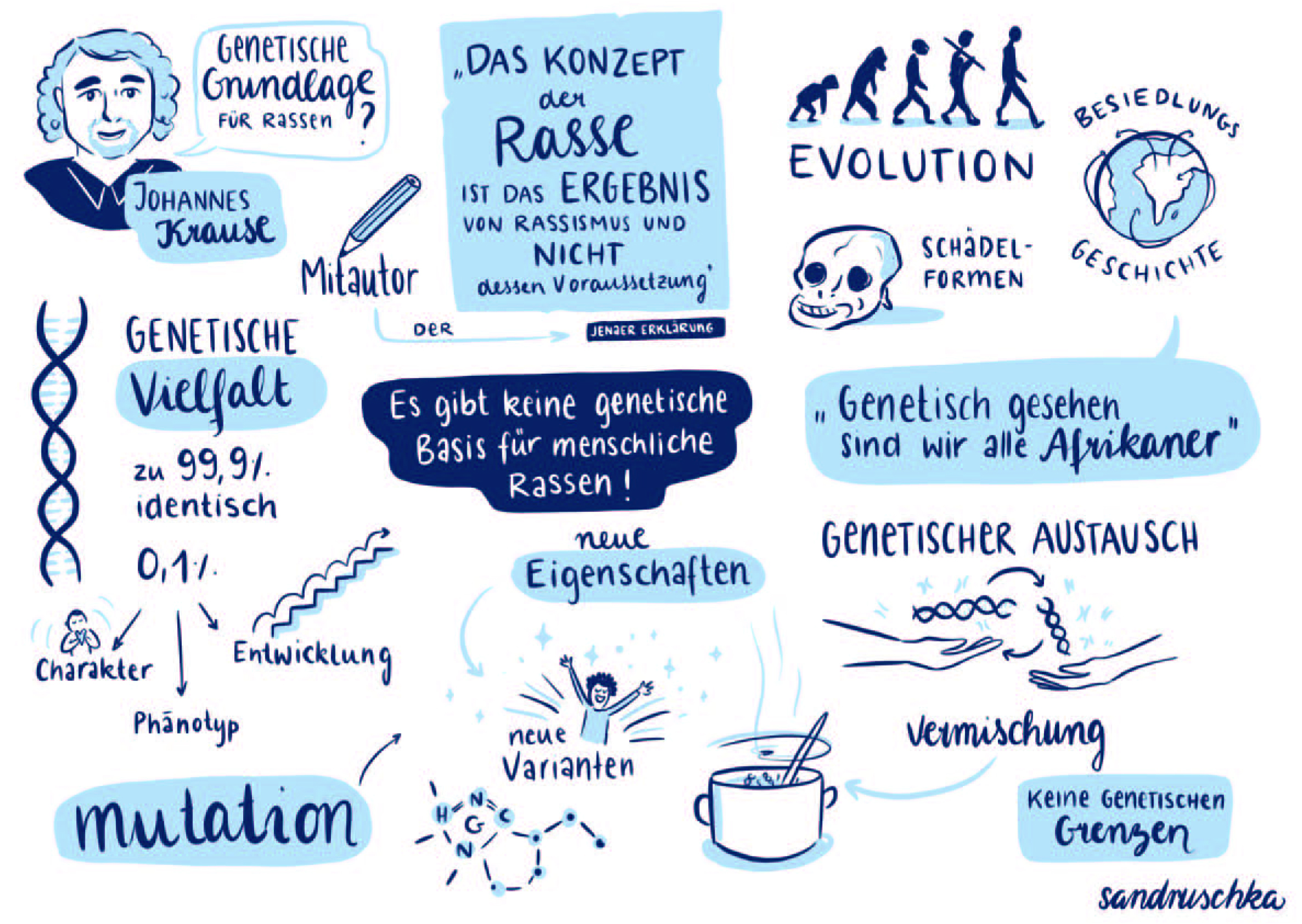 Kollage aus Zeichnungen und Zitaten, die genetische Konzepte erklären. Textfragmente sind unter anderem: „Es gibt keine genetische Basis für menschliche Rassen!“, und: „Das Konzept der Rasse ist das Ergebnis von Rassismus und nicht dessen Voraussetzung“.