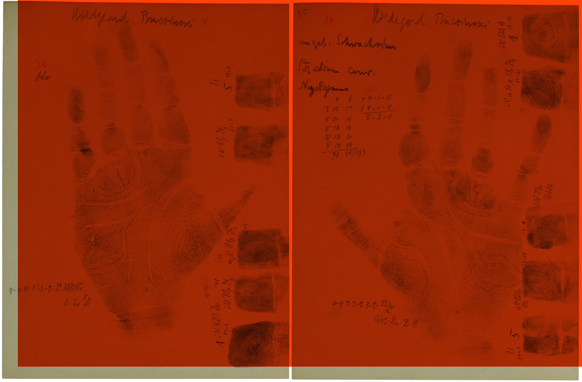 This photograph shows prints of two hands: one left hand and one right hand.